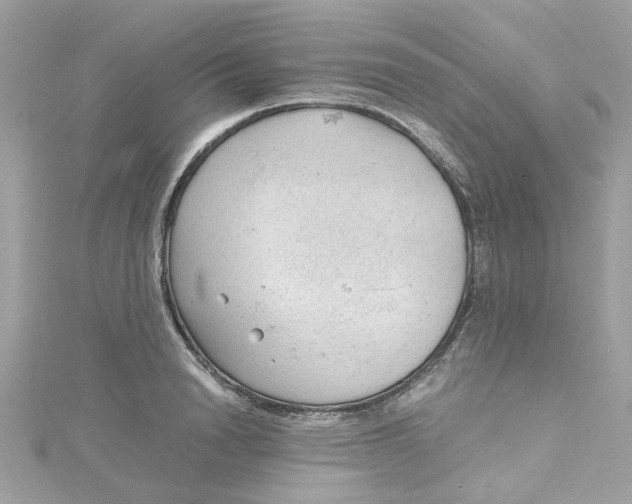 X0000115040846200911161525