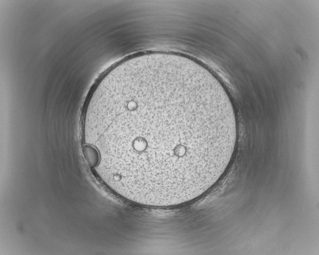 X0000115040848200911161525