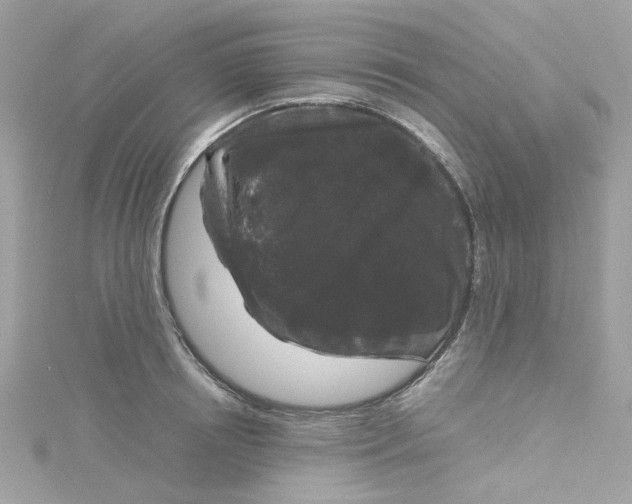 X0000115040850200911161525