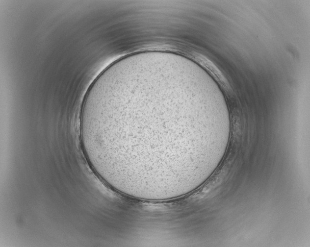 X0000115040852200911161526