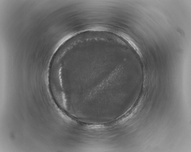 X0000115040853200911161526