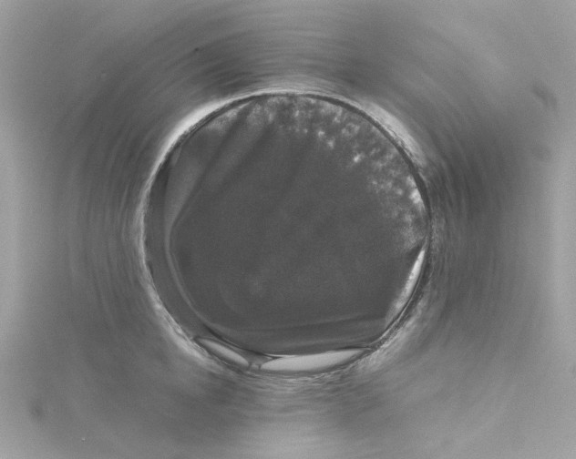 X0000115040854200911161526