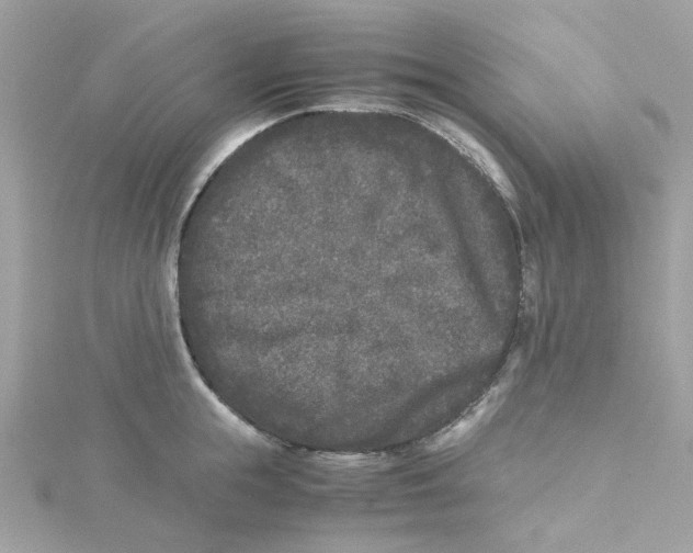 X0000115040855200911161526