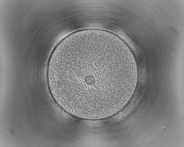 X0000115040856200911161526