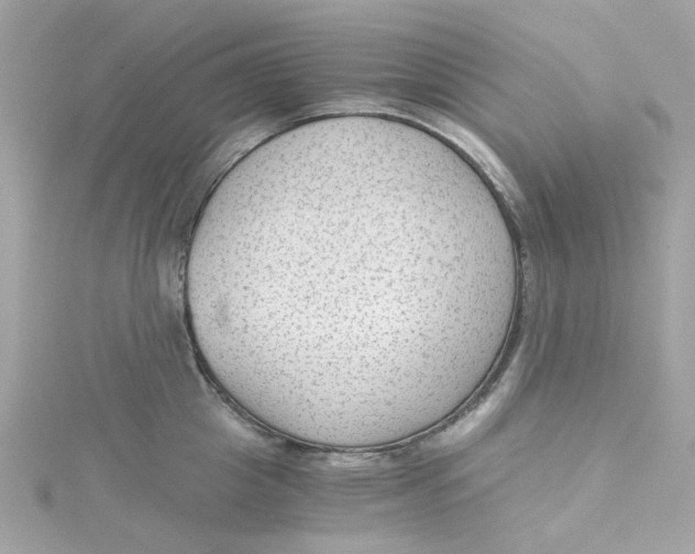 X0000115040857200911161526