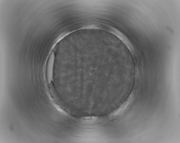 X0000115040858200911161526