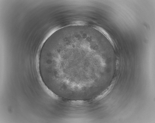 X0000115040859200911161526