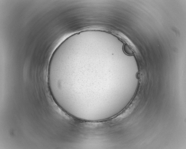 X0000115040860200911161526