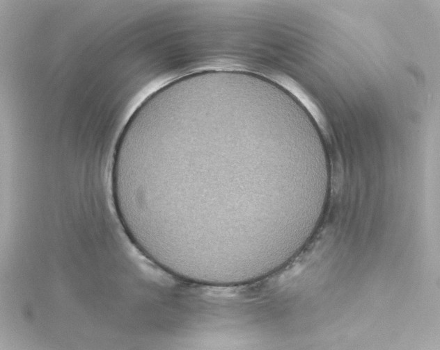 X0000115040861200911161526