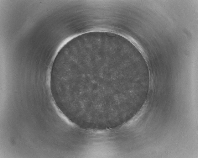 X0000115040862200911161526