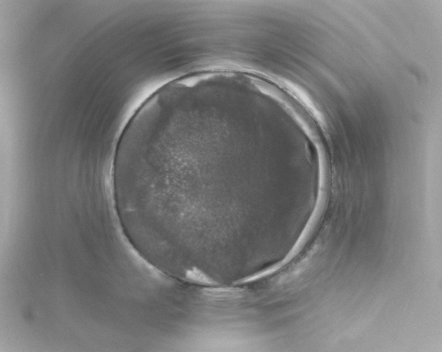 X0000115040863200911161526