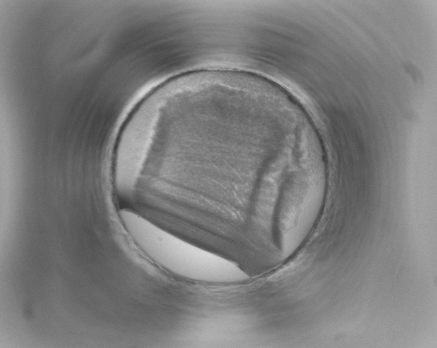 X0000115040864200911161526