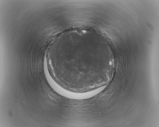 X0000115040868200911161525