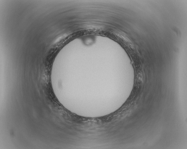 X0000115040869200911161525