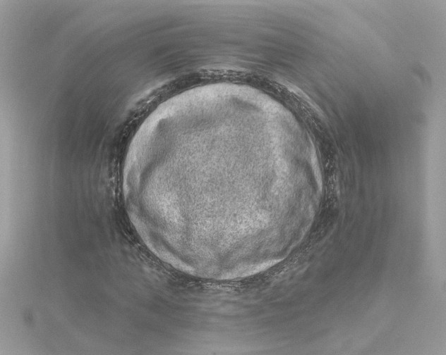 X0000115040870200911161525