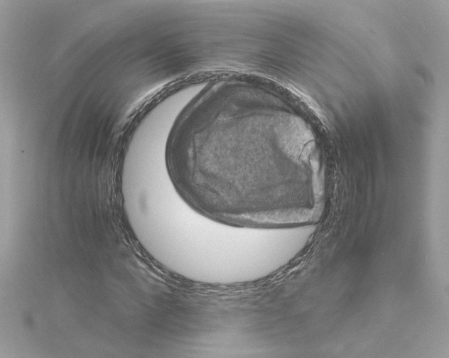 X0000115040872200911161525