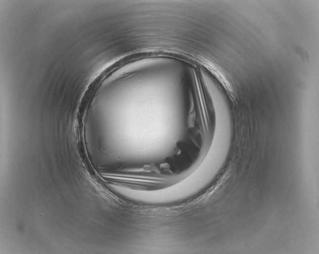 X0000115040876200911161525