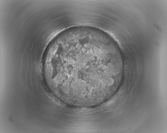 X0000115040879200911161525