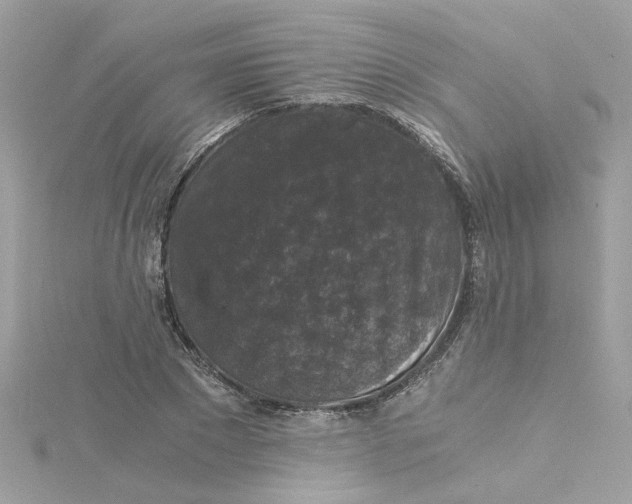 X0000115040881200911161525