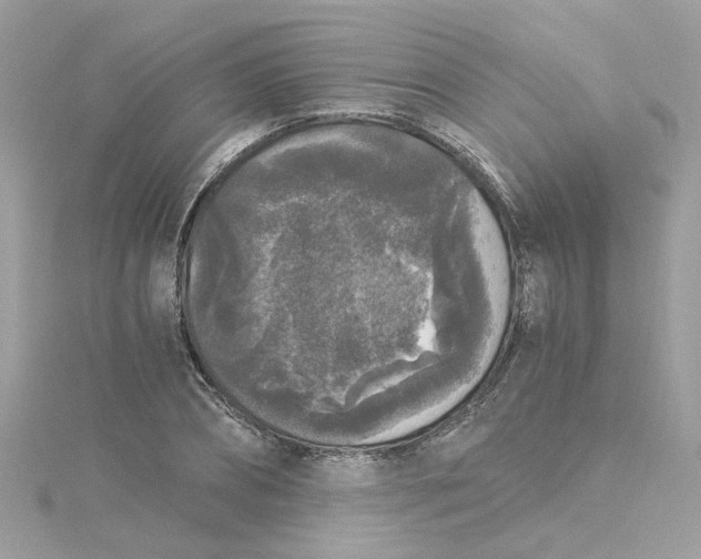 X0000115040882200911161525