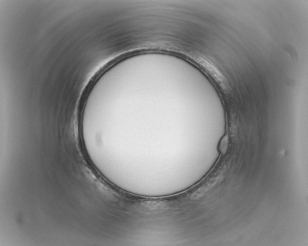 X0000115040888200911161525