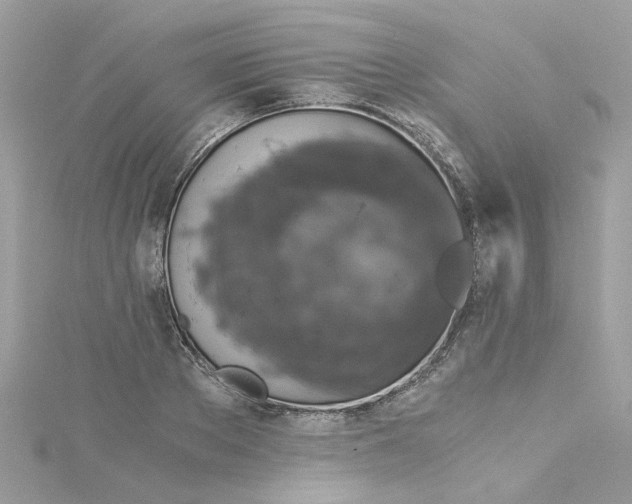 X0000115040889200911161525