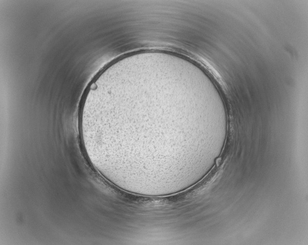 X0000115040891200911161525