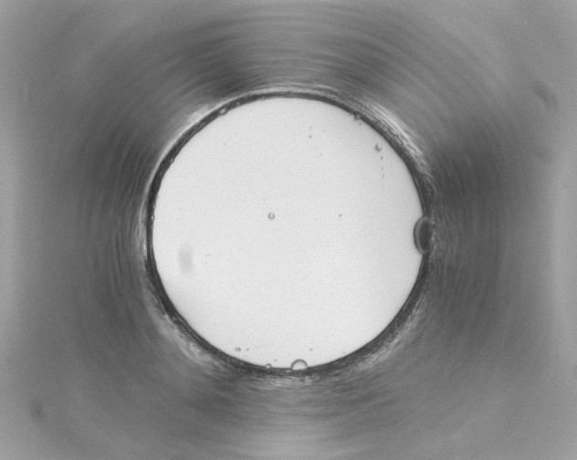 X0000115040892200911161525