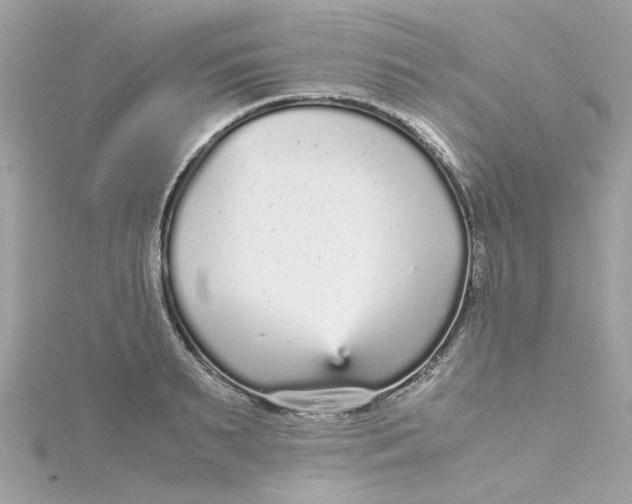 X0000115040895200911161525