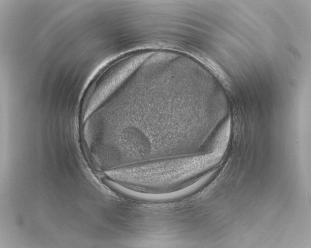X0000115040896200911161525
