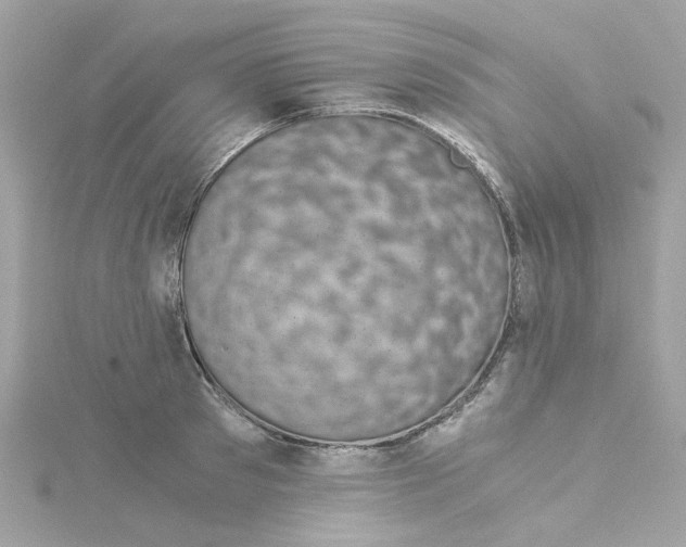 X0000115040897200911161525