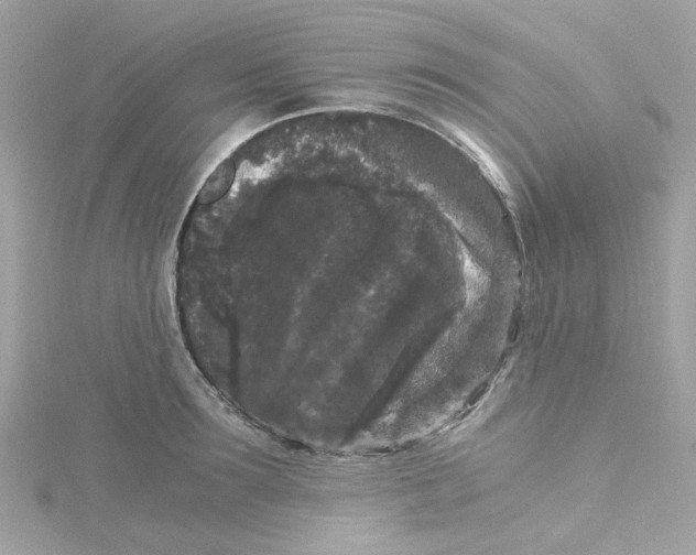 X0000115040899200911161525