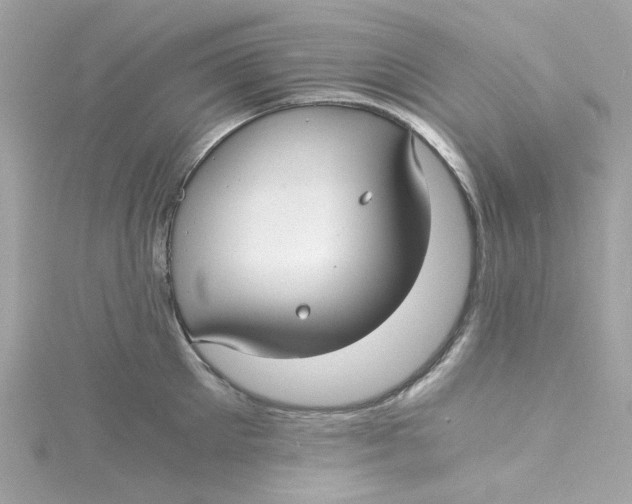 X0000115040905200911161525