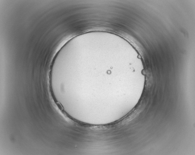 X0000115040906200911161525