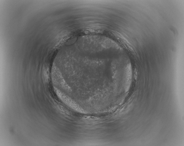 X0000115040915200911161524