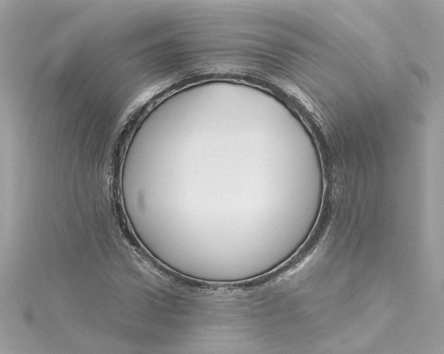 X0000115040922200911161524