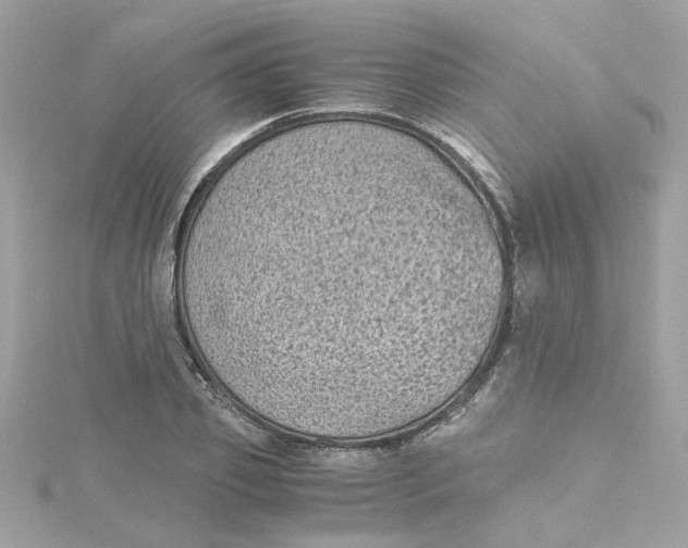 X0000115040933200911161524