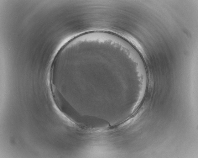 X0000115040958200911161524