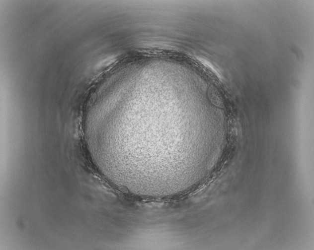 X0000115040965200911161524