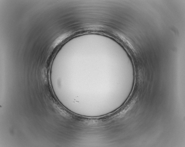 X0000115040970200911161524