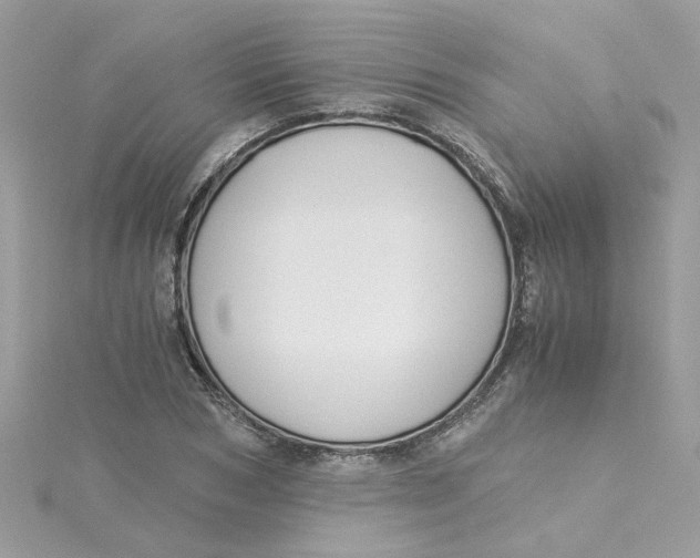 X0000115040978200911161524