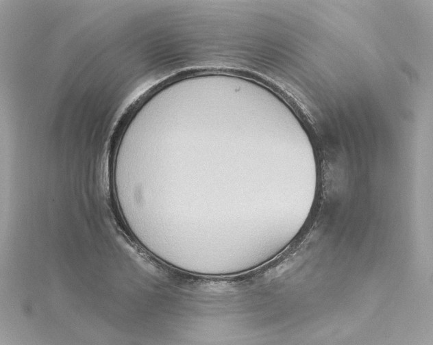 X0000115040982200911161524