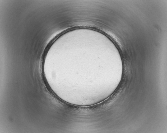 X0000115040983200911161524