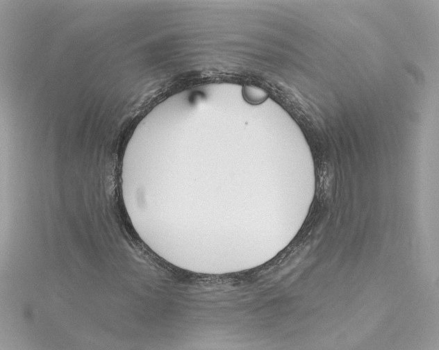 X0000115041012200911161523