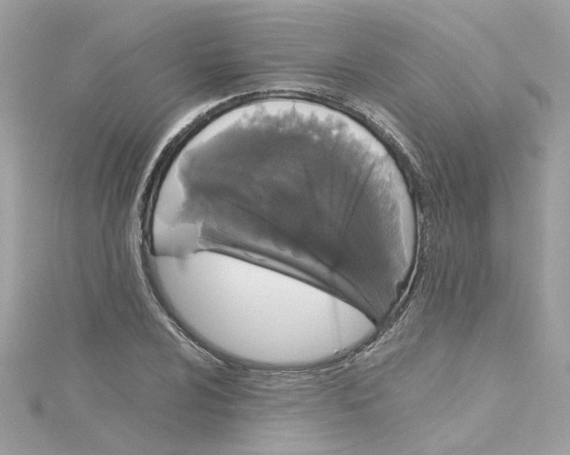 X0000115041024200911161523