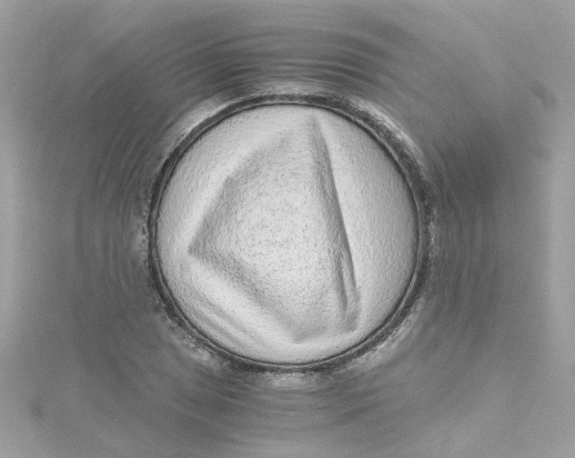 X0000115041025200911161523