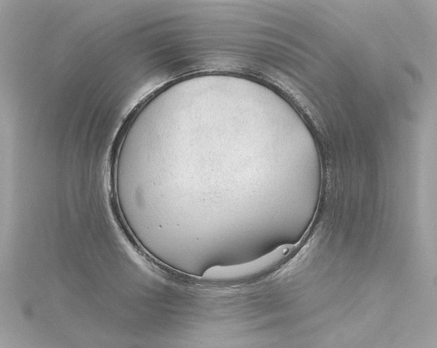 X0000115041034200911161523