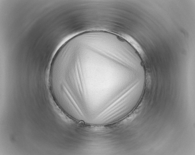 X0000115041052200911161523