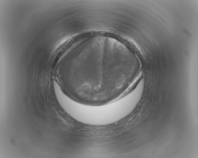 X0000115041064200911161522