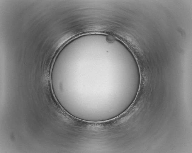 X0000115041073200911161522